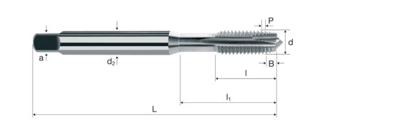 Gewindebohrer Produktbild front L