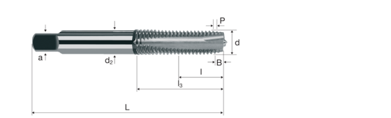 Maschi n-tap Immagine del prodotto front L