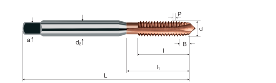 Maschi Xtap Immagine del prodotto front L