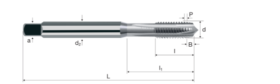 Gewindebohrer Produktbild front L