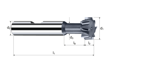 T-Nutenfräser Produktbild front L